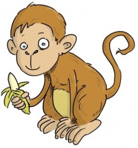 Macaco 1